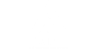 Image of Triad Semiconductor logo