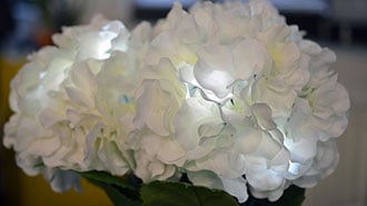 image of Luminous LED Flowers