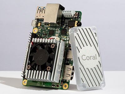 image of Coral