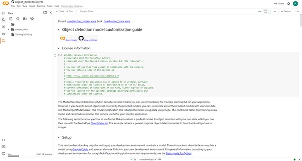 Customizing an Object Detection Model on Your Raspberry Pi