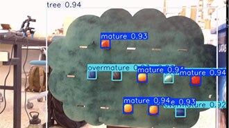 Image of From Webcam to Cloud: Building an IoT-Ready Computer Vision System