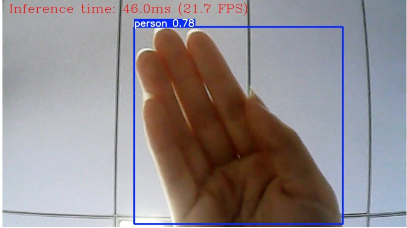 image of Detection Task