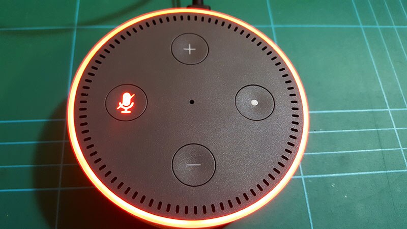 The top of the Echo Dot