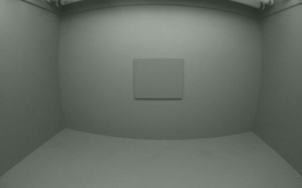 image of Global shutter Raspberry Pi camera module captured Image Sample