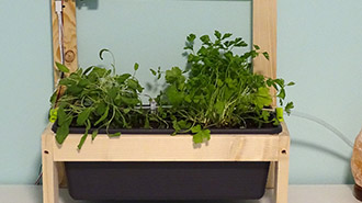 Planting Container Control System Create an Indoor Garden Automated Plant Monitoring and Watering System
